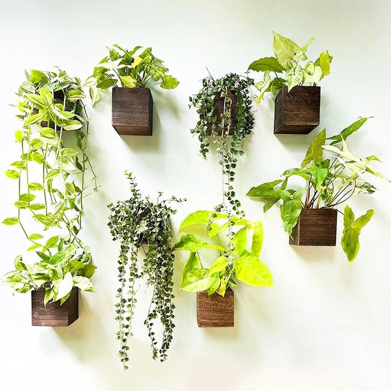 Wood Planter Box for Plants (6 Pack, 4X4 Inch) Small Square Wooden Wall Planters for Indoor Plant, Hanging Window Flower Boxes Herb Planter Table Centerpiece Modern Home Garden Office Decor