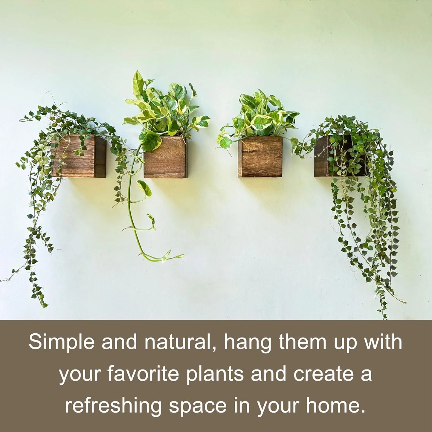 Wood Planter Box for Plants (6 Pack, 4X4 Inch) Small Square Wooden Wall Planters for Indoor Plant, Hanging Window Flower Boxes Herb Planter Table Centerpiece Modern Home Garden Office Decor