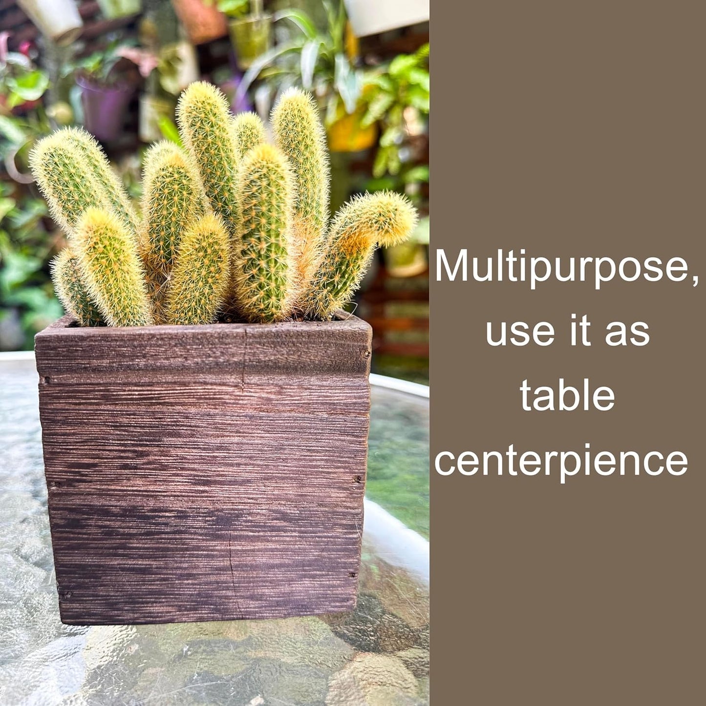 Wood Planter Box for Plants (6 Pack, 4X4 Inch) Small Square Wooden Wall Planters for Indoor Plant, Hanging Window Flower Boxes Herb Planter Table Centerpiece Modern Home Garden Office Decor