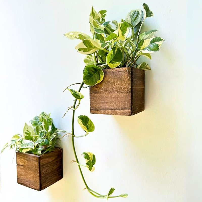 Wood Planter Box for Plants (6 Pack, 4X4 Inch) Small Square Wooden Wall Planters for Indoor Plant, Hanging Window Flower Boxes Herb Planter Table Centerpiece Modern Home Garden Office Decor