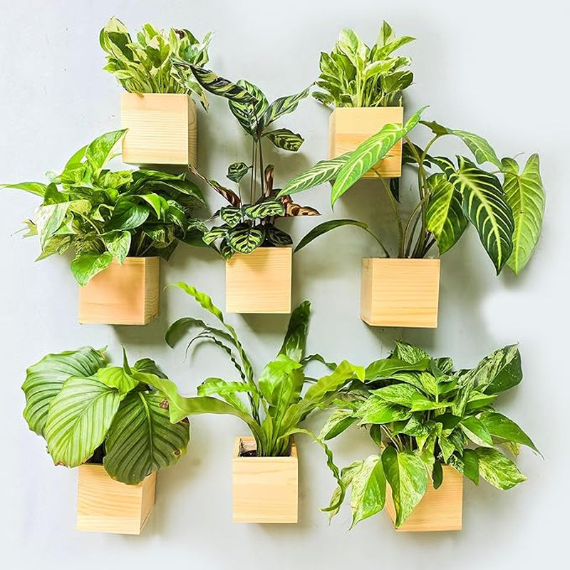 Wood Planter Box for Plants (6 Pack, 4X4 Inch) Small Square Wooden Wall Planters for Indoor Plant, Hanging Window Flower Boxes Herb Planter Table Centerpiece Modern Home Garden Office Decor